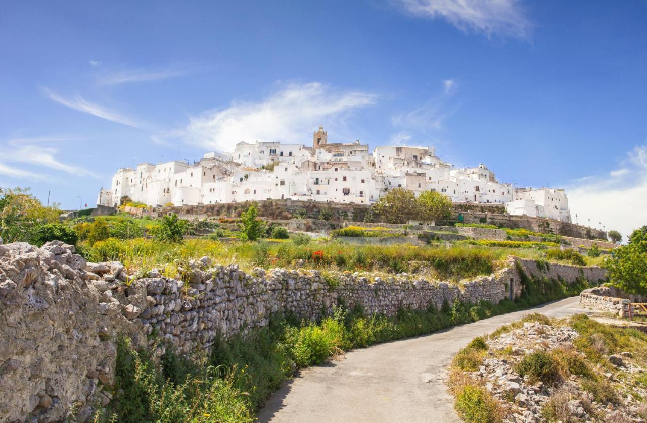 Domus Otium Ostuni - Tiny House Apartment Екстериор снимка
